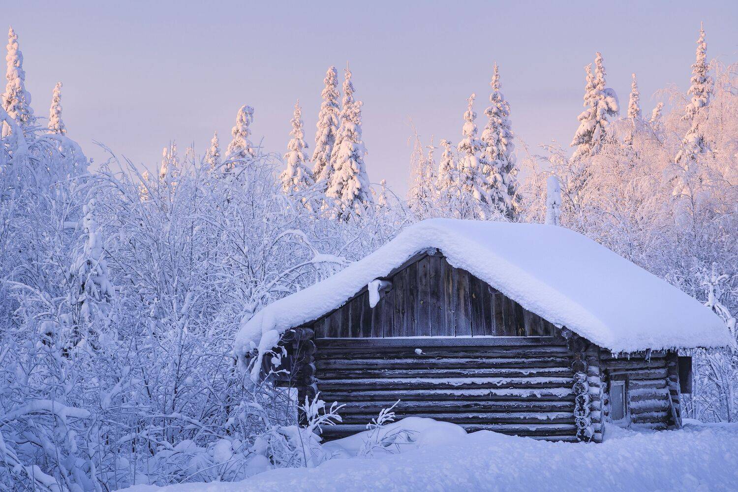 пейзаж, зима, снег, тайга, лес, деревья, landscape, woodland, winter, taiga, snow, рассвет, мороз, утро, коми, sunrise, morning, frozen, komi, Чаланов Иван