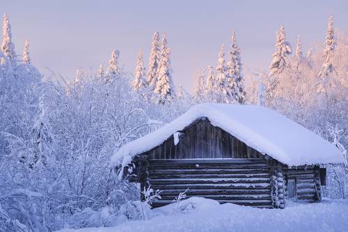 Лесная изба в зимней сказке