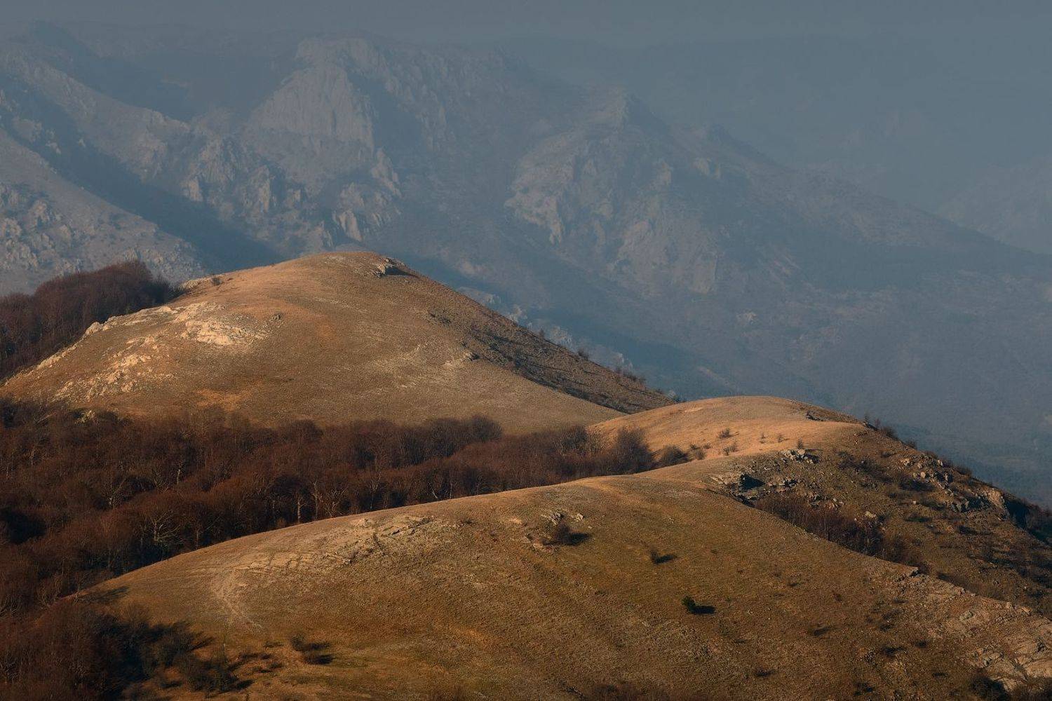 , Агеев Алексей