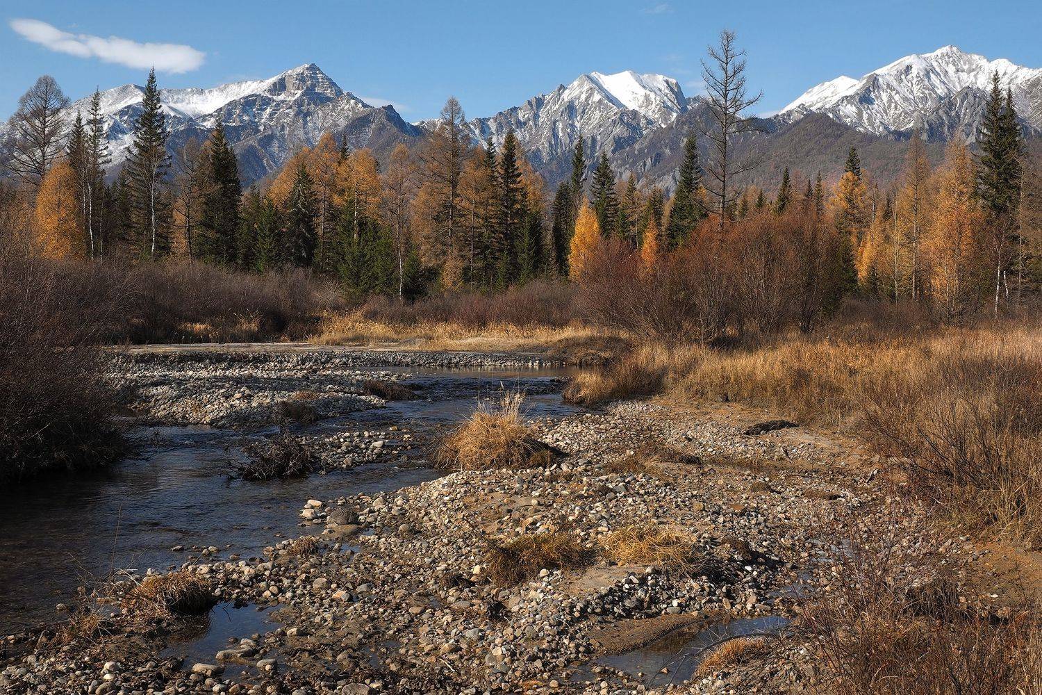 , Александр Попов