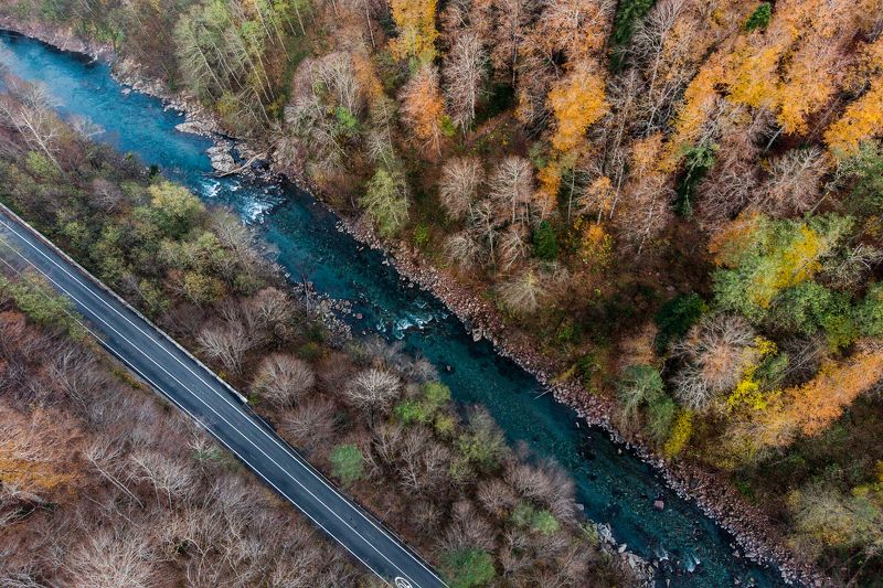 Линии осени фото превью