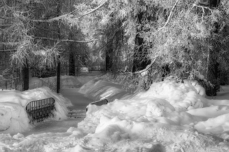 пейзаж, черно-белое, зима, утро, парк, александр никитинский Утром в парке... фото превью
