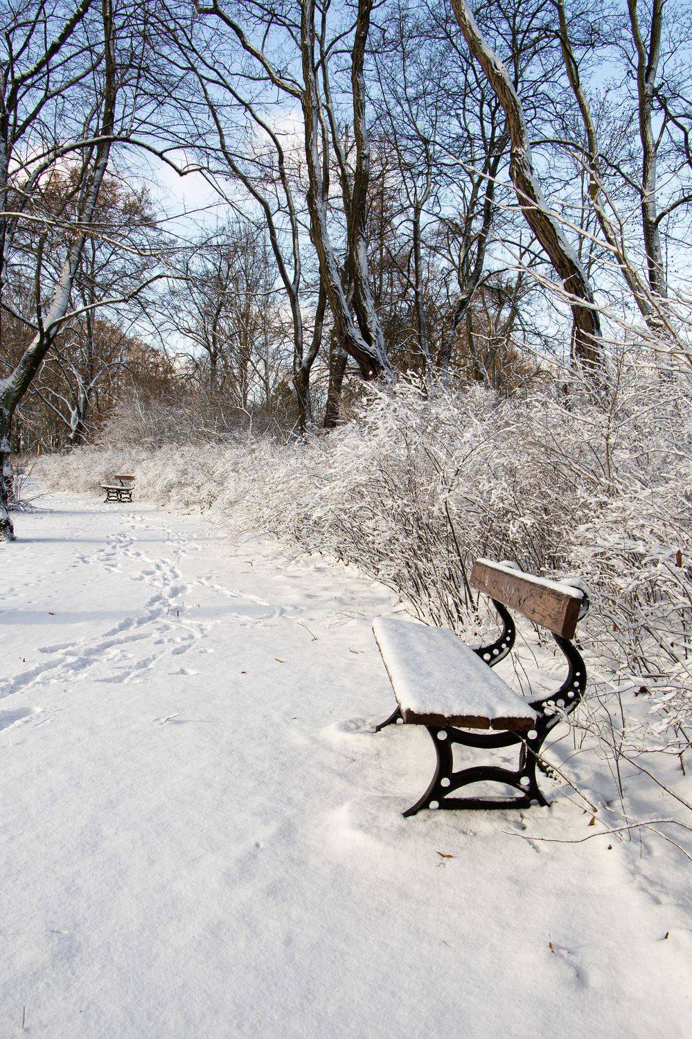 , Жорнова Светлана