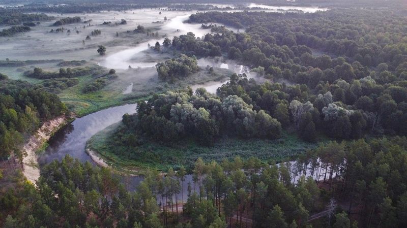 Солнце еще не встало, летнее утро фото превью
