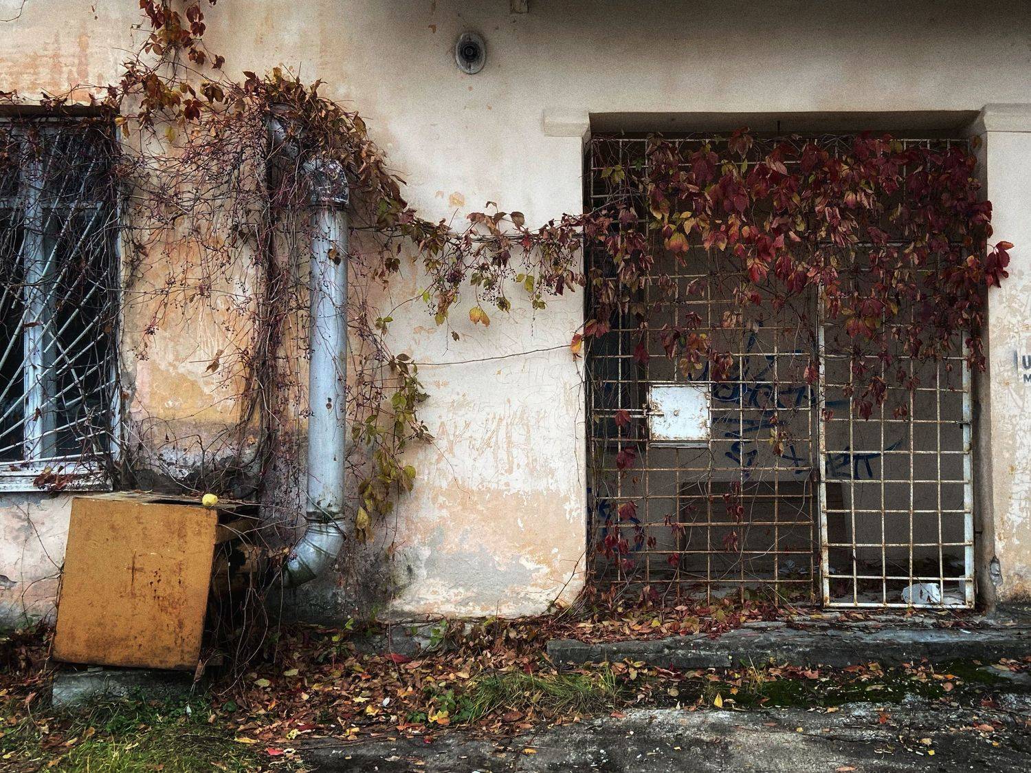 pavelskvortsov, Pavel Skvortsov