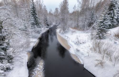 Лесная река