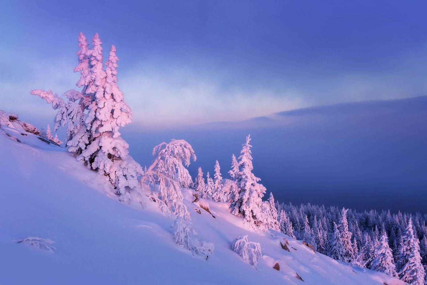 , Vyacheslav Lozhkin