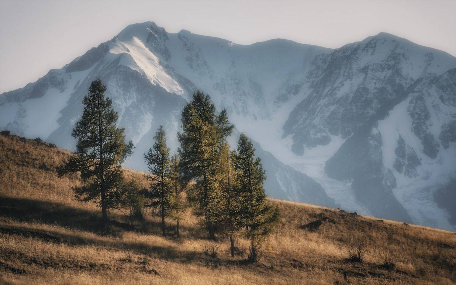 , Олег Дунаев