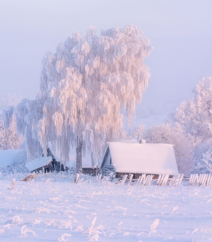 Сказка морозного утра фото превью
