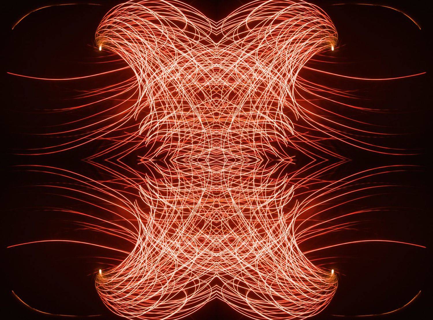 phoenix,, Shota.Nagase