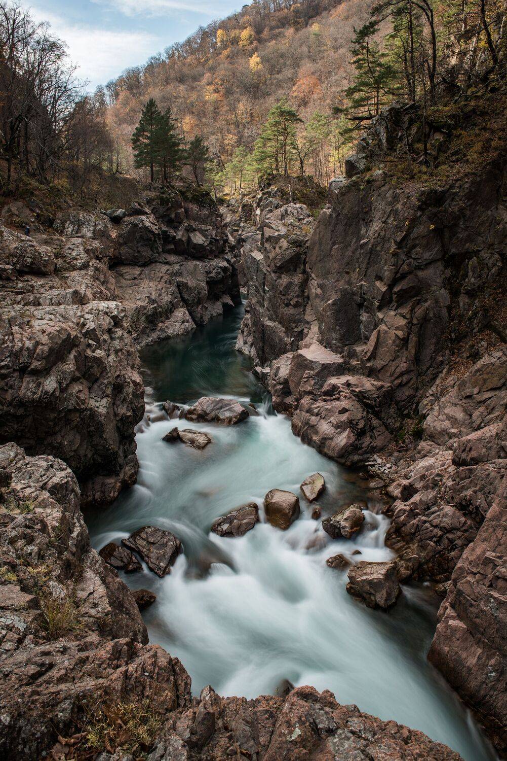 , Величко Дмитрий