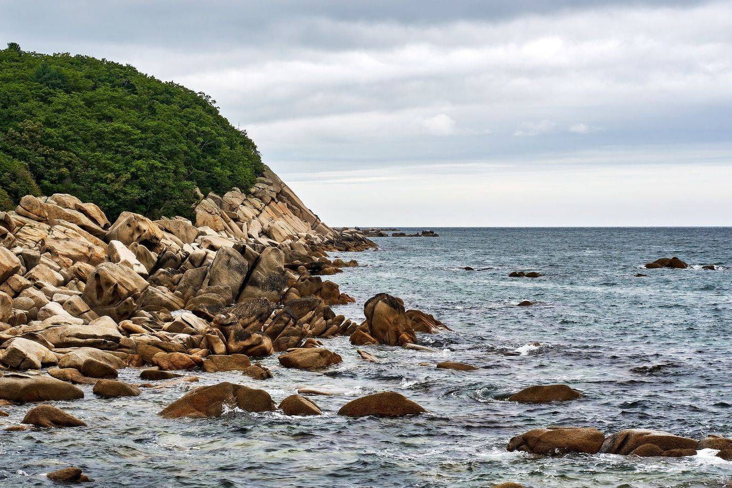 , Сергей Низовцев