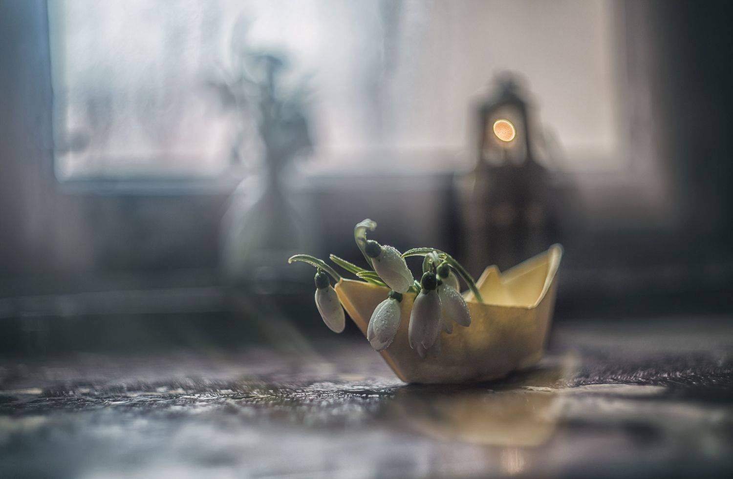 , Сигидова Ирина