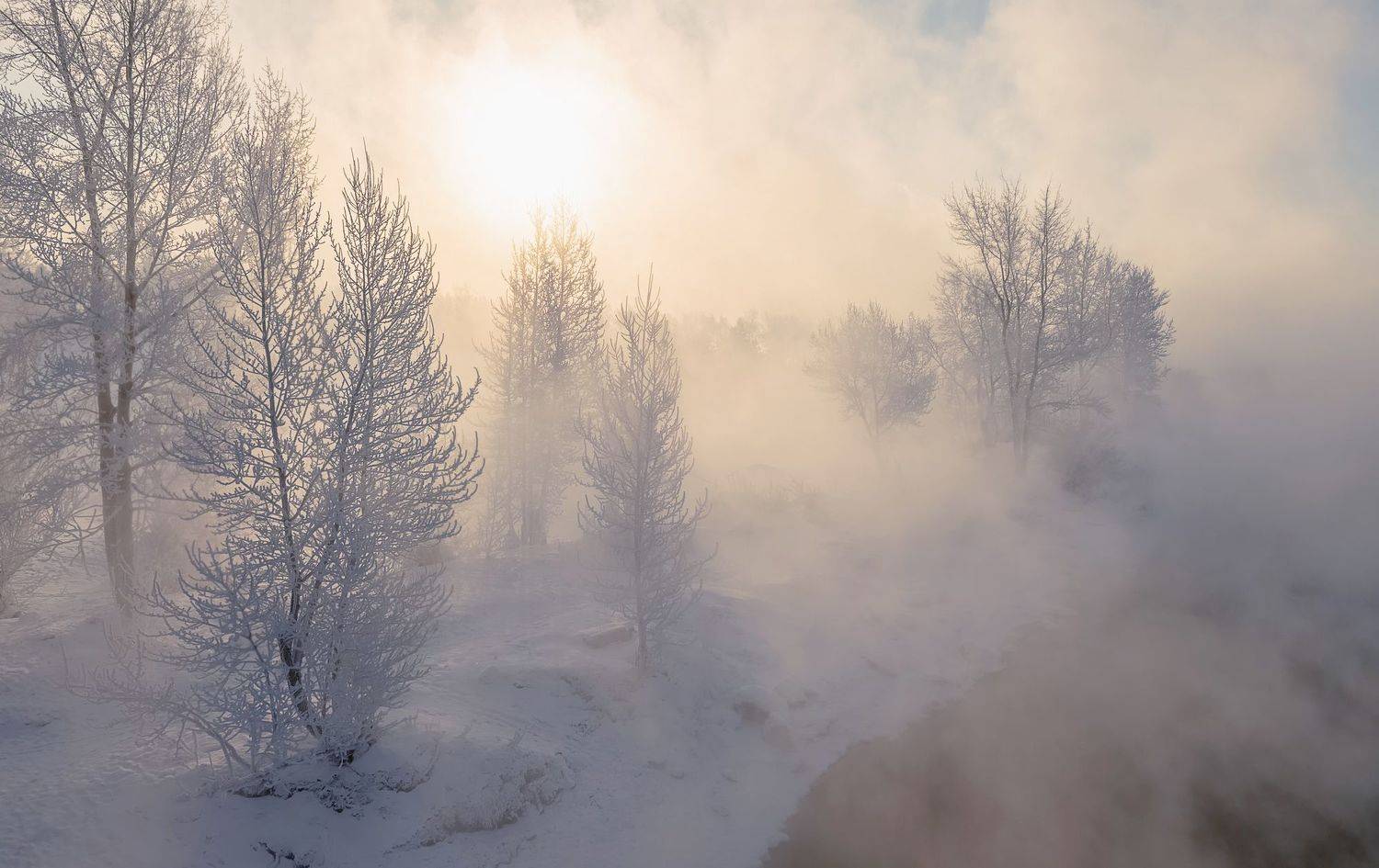 Зима, мороз, сибирь, туман, иней, Фомина Марина