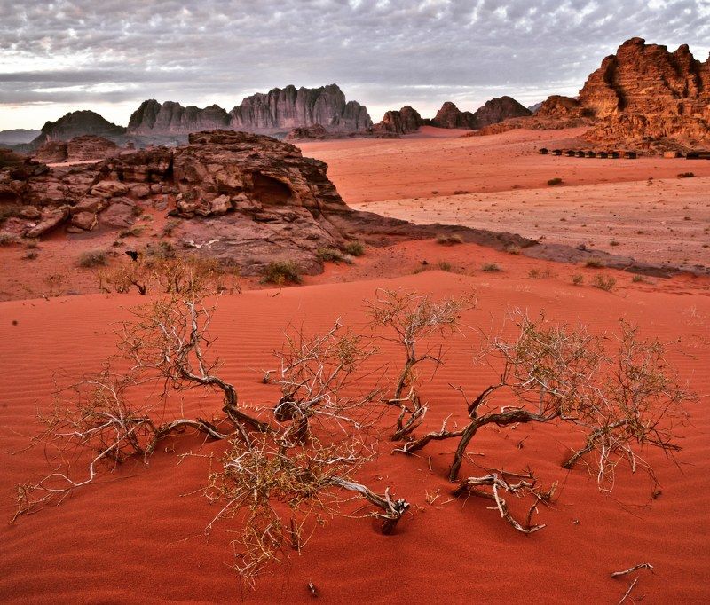 пустыня , вади рам, пейзаж Пески Вади Рам фото превью