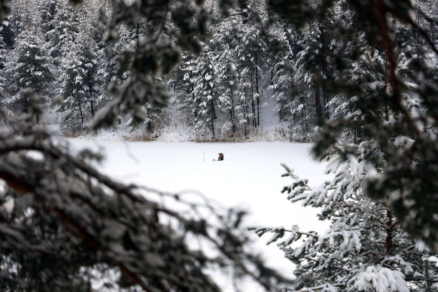 зима озеро февраль снег, Колосова Елена