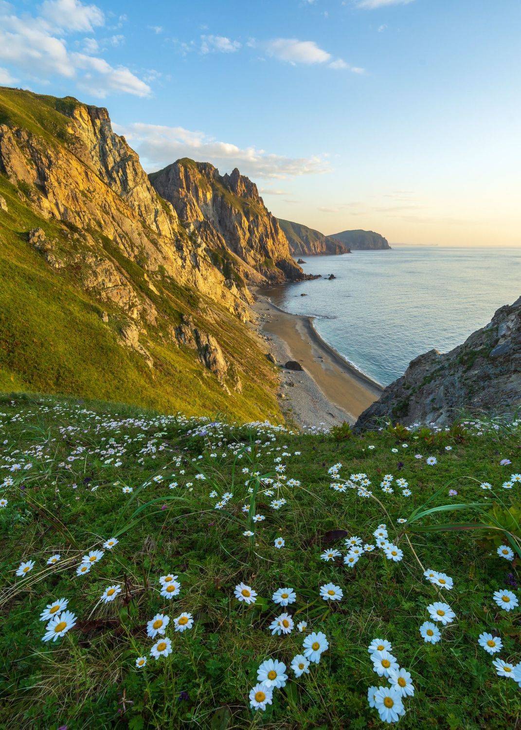 , Олег Матроницкий