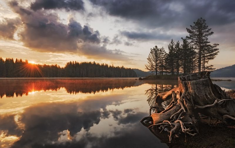 болгария, озеро, река, водоем, утро, вечер, закат, восход, лес, природа, широкая поляна, природный парк, bulgaria, lake, river, pond, sunset, sunrise, forest, morning, evening, wood, national park Заповедник Широкая поляна / Wide meadow фото превью