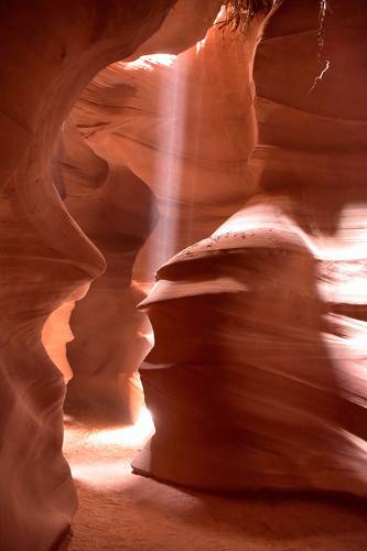 Желанный гость