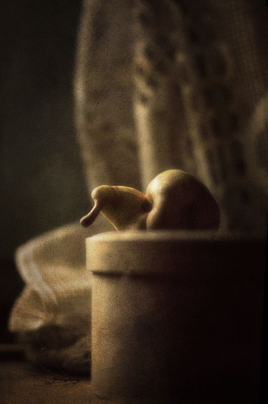 Ленивая груша фото превью