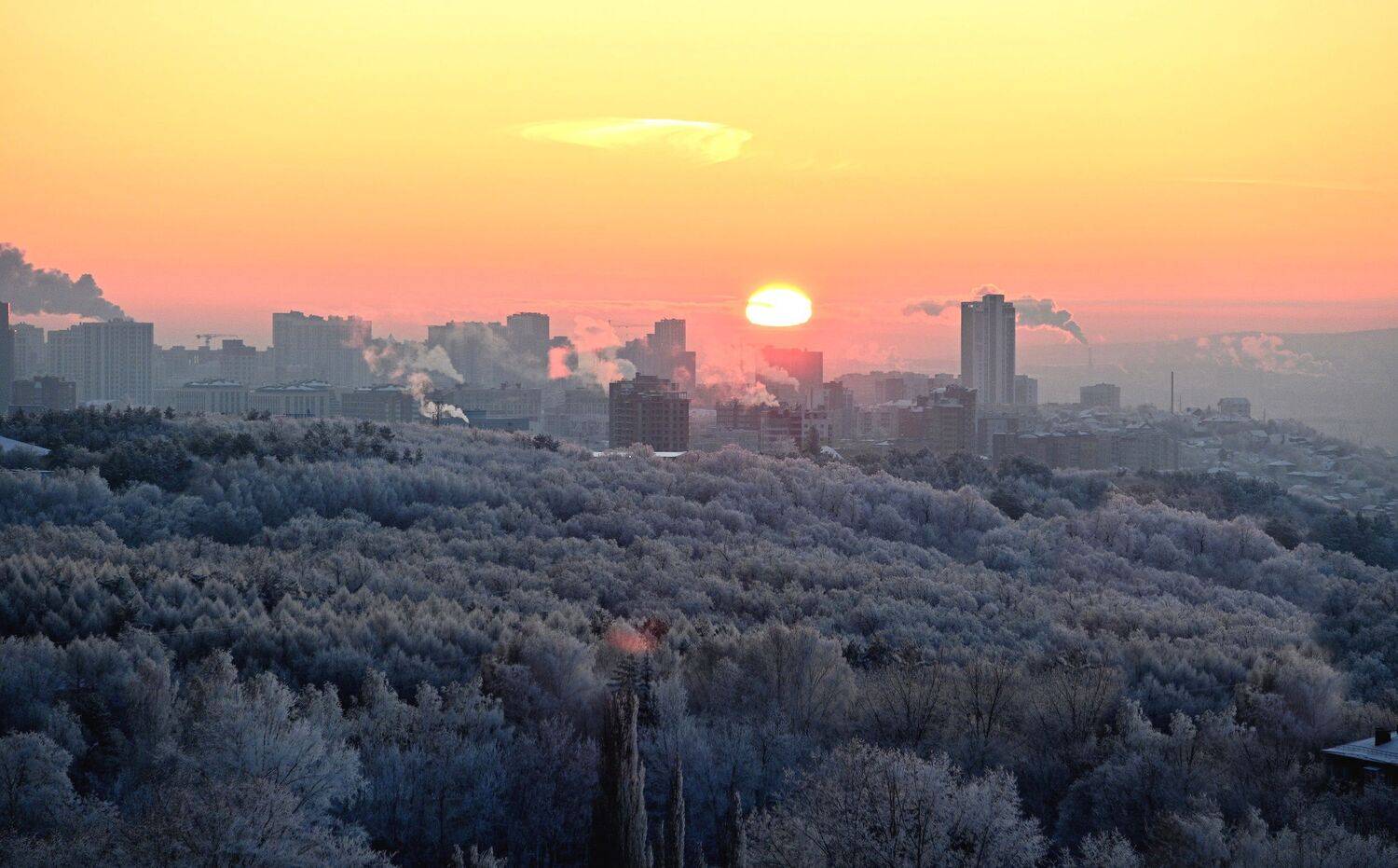 , Меднов Влад