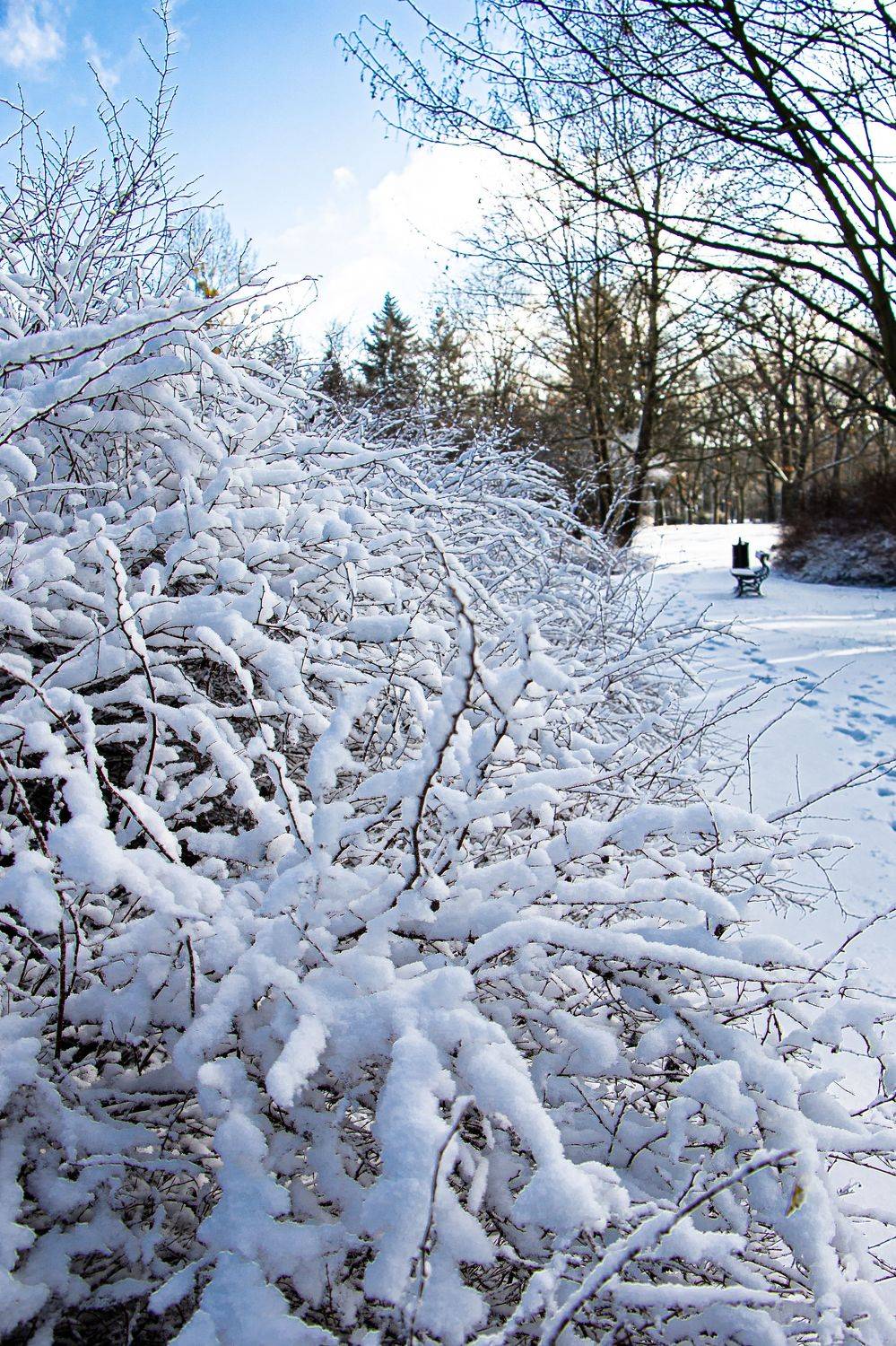 , Жорнова Светлана