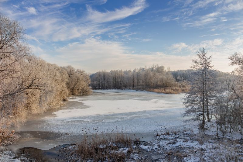 лес, деревья, зима, иней, природа  фото превью