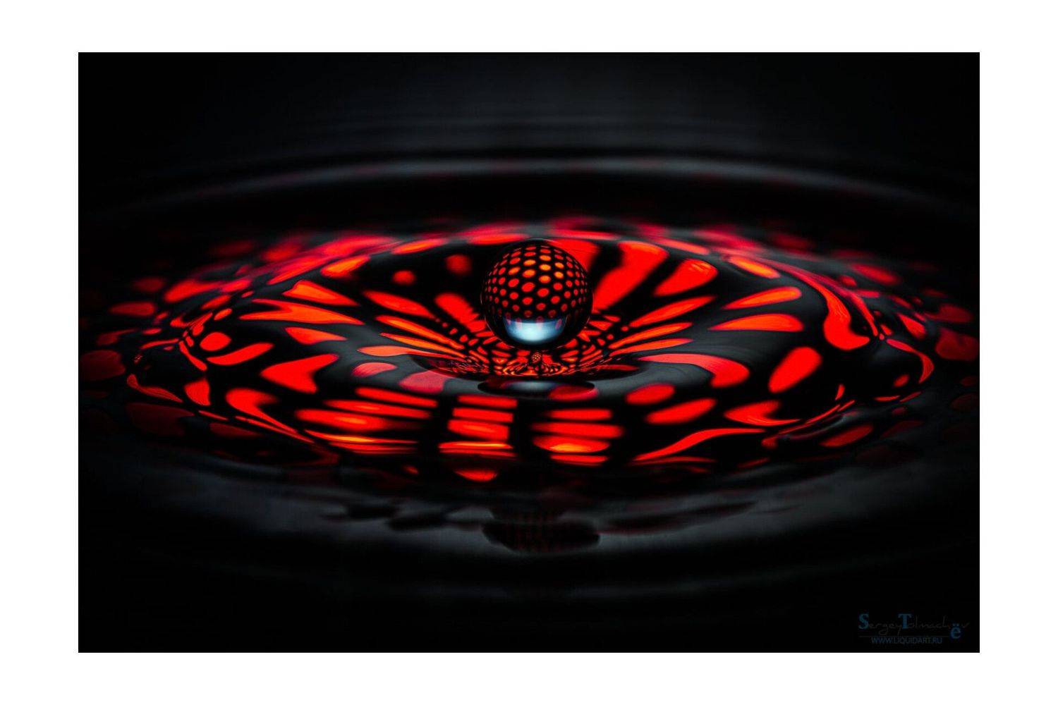 вода, капли, жидкость, макро, всплеск, сергей толмачев, liquidart, water, splash, waterdrop,, Сергей Толмачев