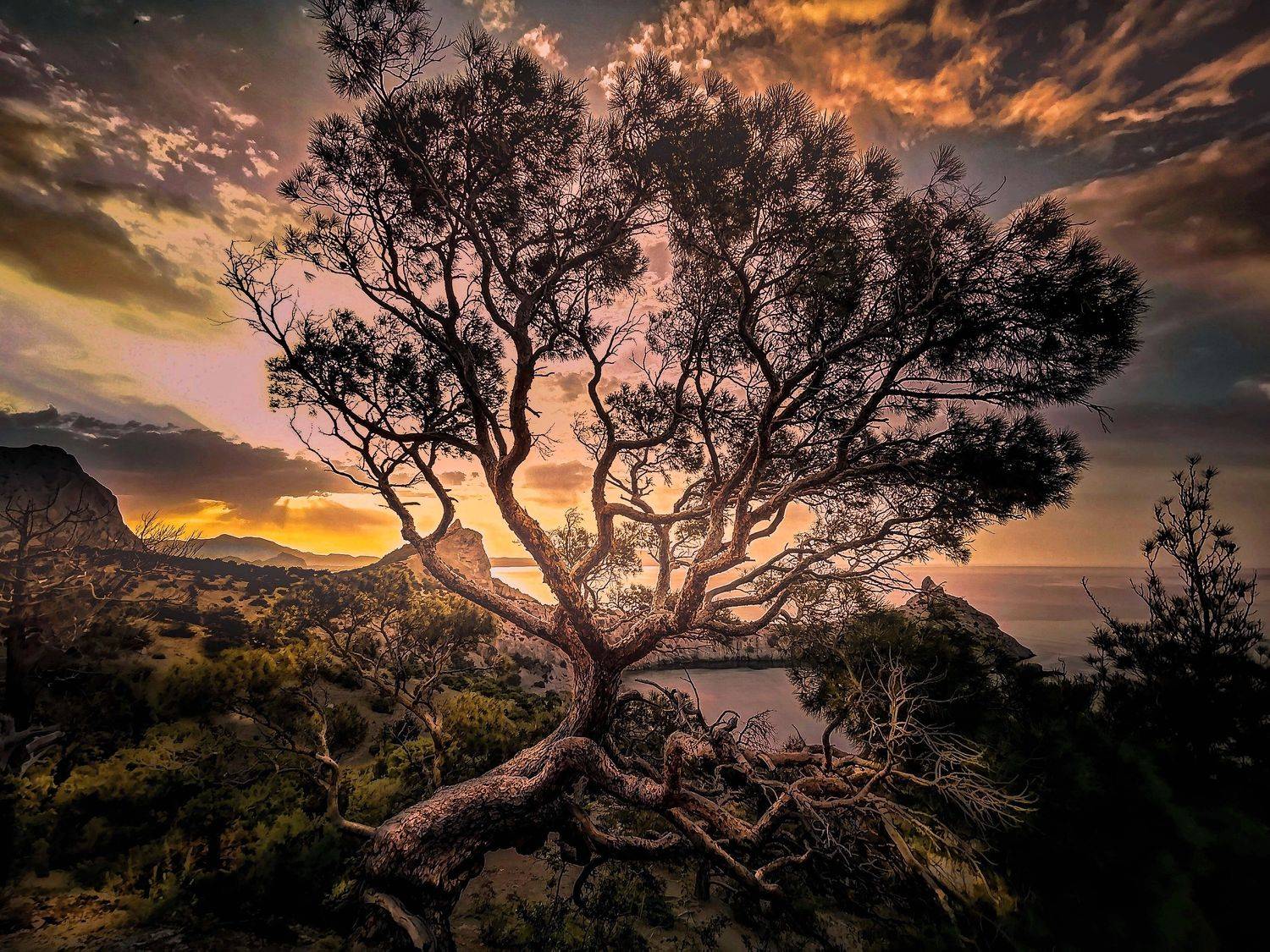 , Разумов Александр