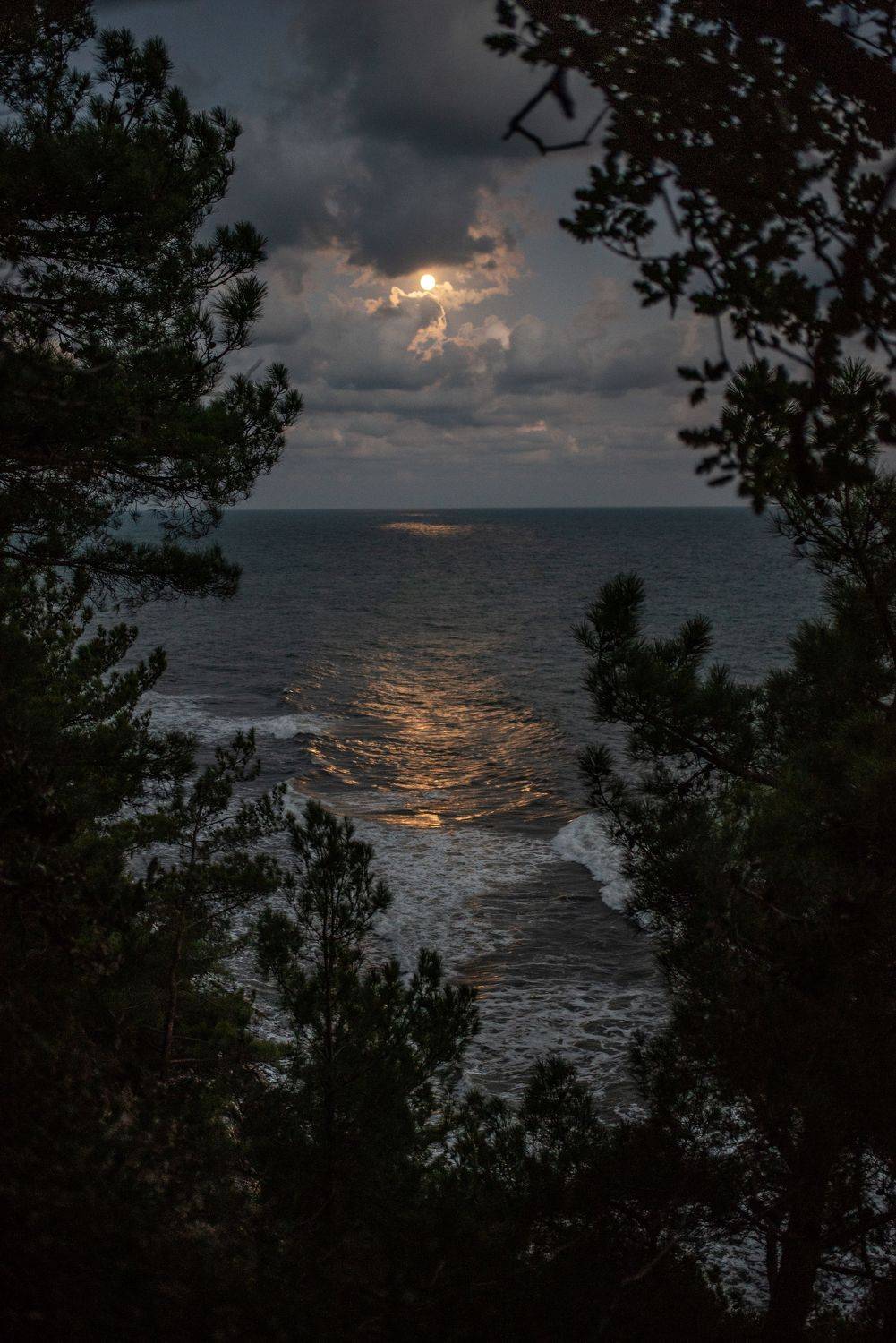 , Величко Дмитрий