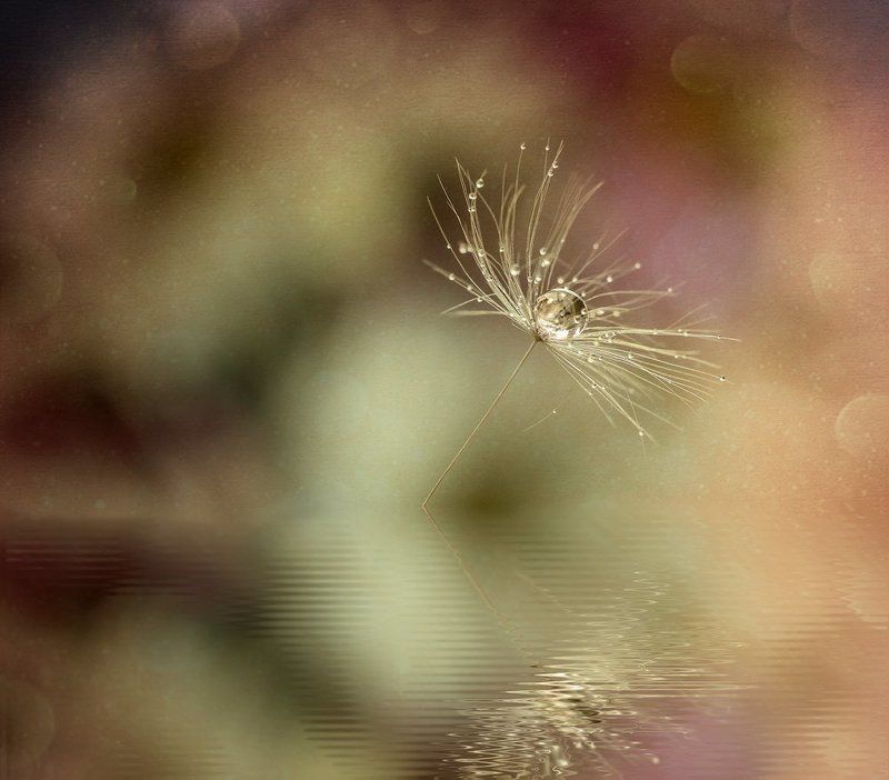 . фото превью