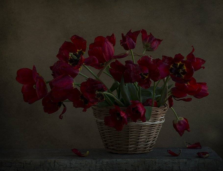 , Петрова Татьяна