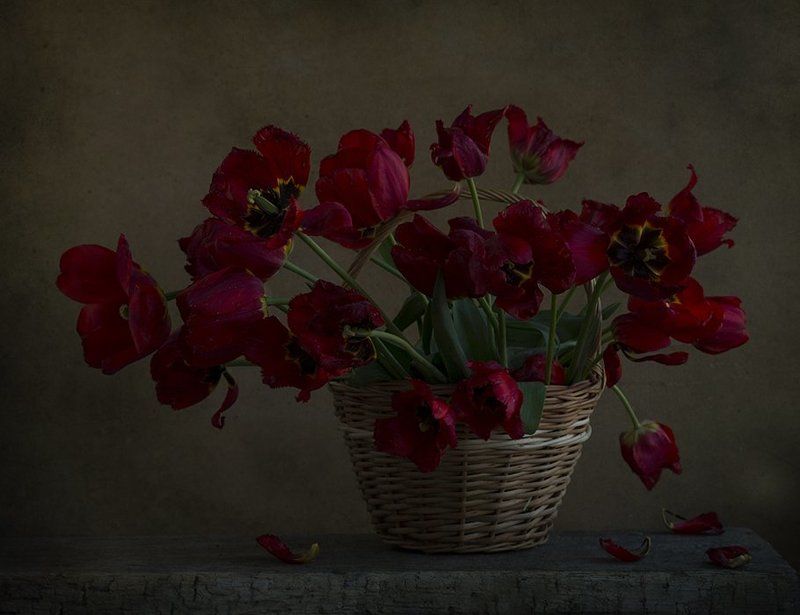 Тюльпановый вечер фото превью