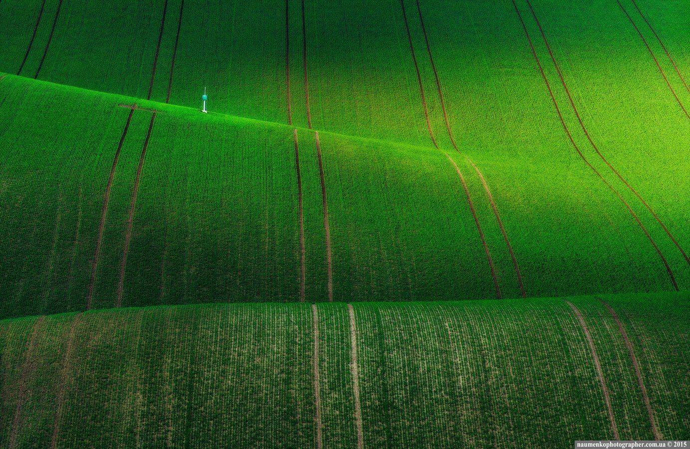 , Александр Науменко