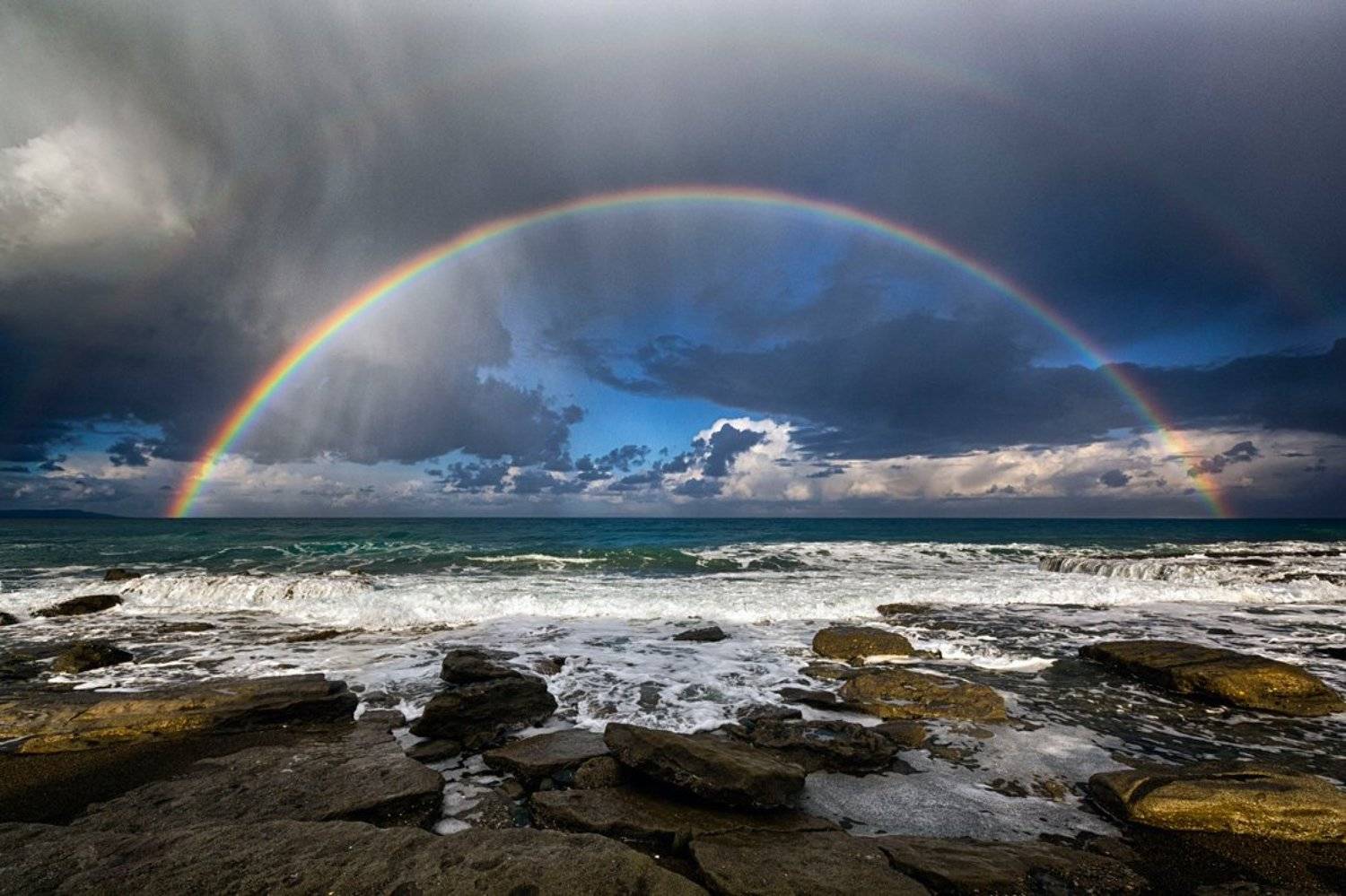 , Людмила Прокофьева