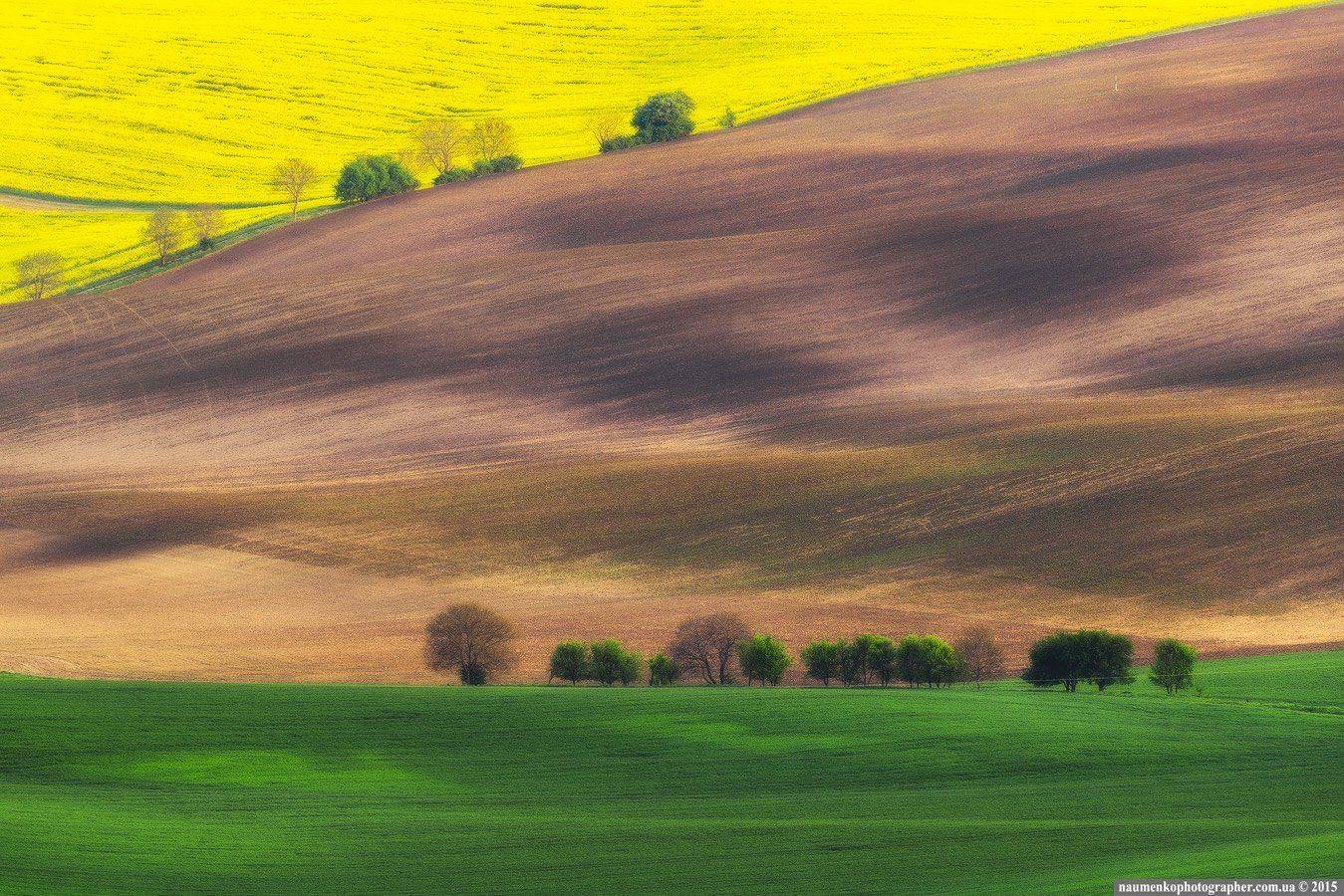 , Александр Науменко