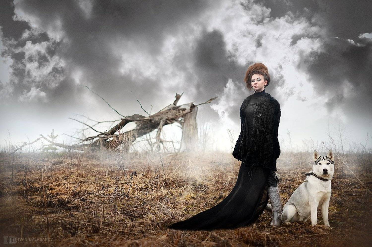 волк, поле, дерево, девушка, балабанов, фотосессия,, Балабанов Иван