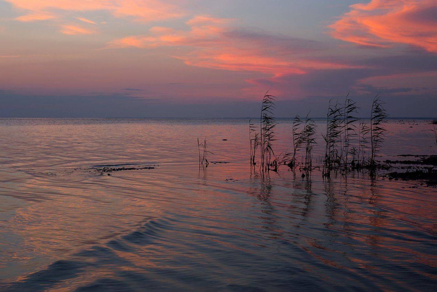 , Анна Кудрявцева