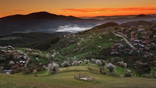 Просыпается деревню
