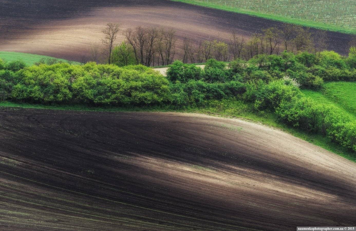 , Александр Науменко