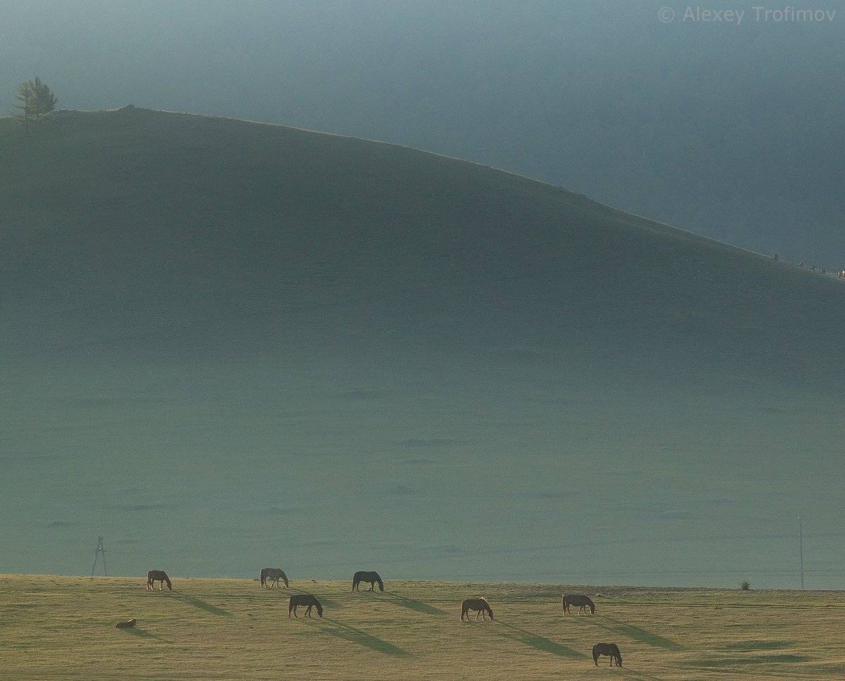 Монголия, Алексей Трофимов