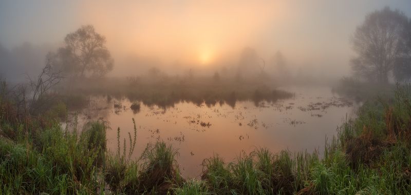 Майское утро фото превью