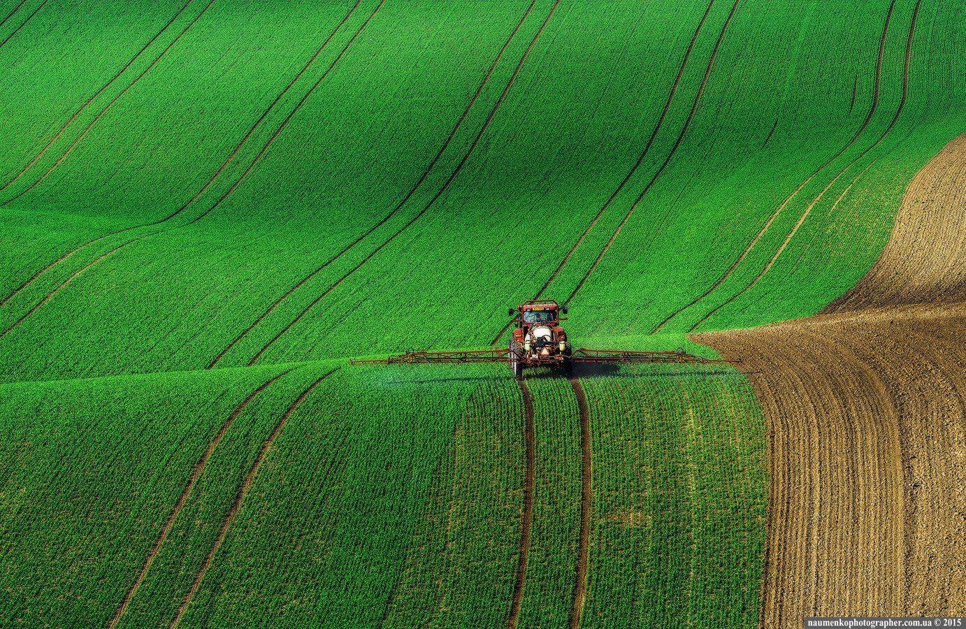 , Александр Науменко