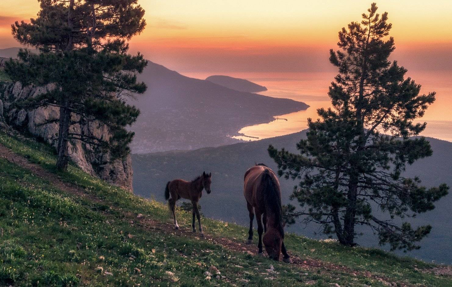 , Игорь Мелекесцев