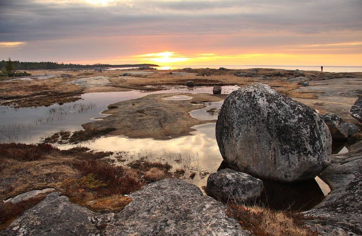 , Александр Коротков