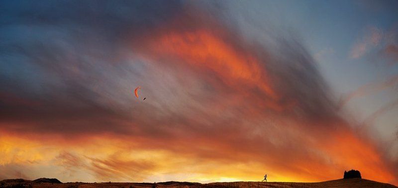 The Heart Is a Lonely Hunter фото превью