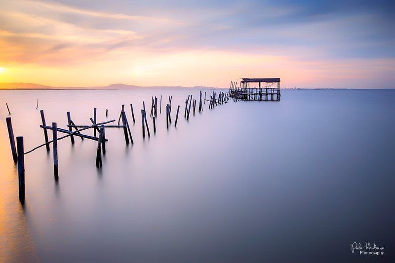 Soft Carrasqueira фото превью