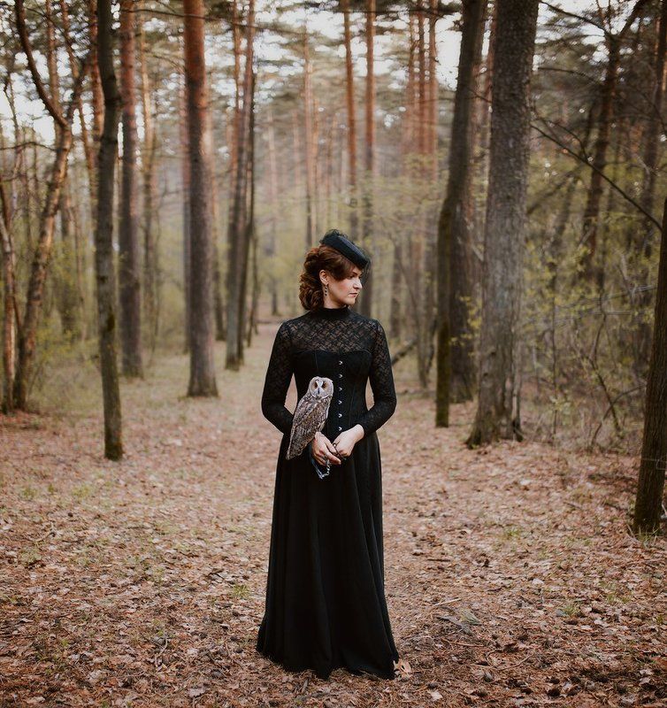 сова, 19 век Одна история с совой фото превью