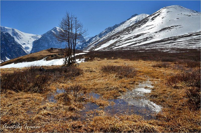 Актру, Горный алтай, Северо-чуйский хребет Вешние воды фото превью