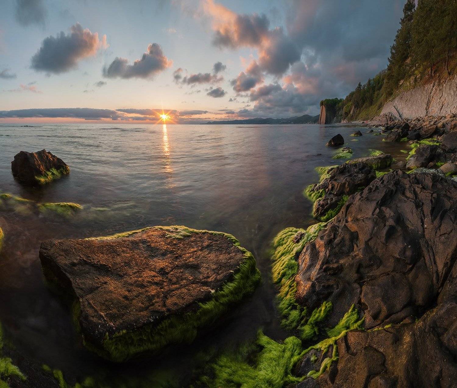 , Николай Мысливцев